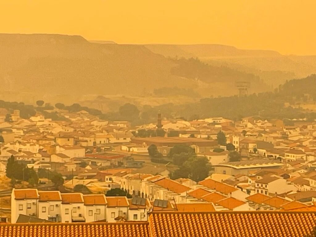 Impacto ambiental del incendio de Niebla en Nerva.
